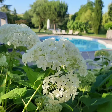 Rimbes - 6 Pers Rustique *